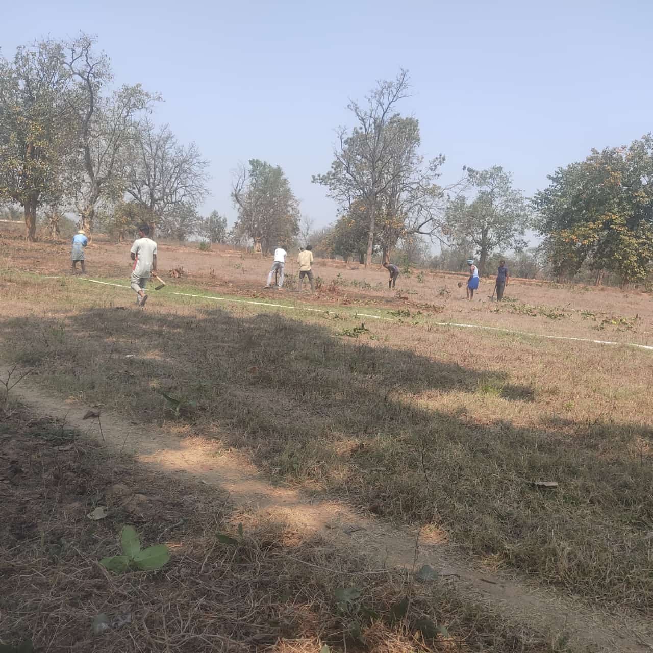 MFPA; संग्राहकों को साप्ताहिक खरीदी के तीसरे दिन होगा भुगतान,बूटा कटाई मजदूरी 70 रुपये मानक बोरा