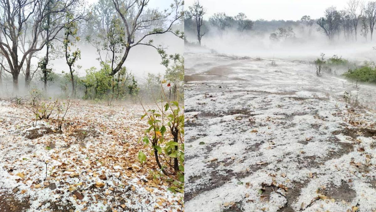 WEATHER; रायपुर, मुंगेली, जशपुर समेत कई जिलों में गिरे ओले, कुछ जिले ब्लैकआउट ,फसलों को नुकसान की आशंका