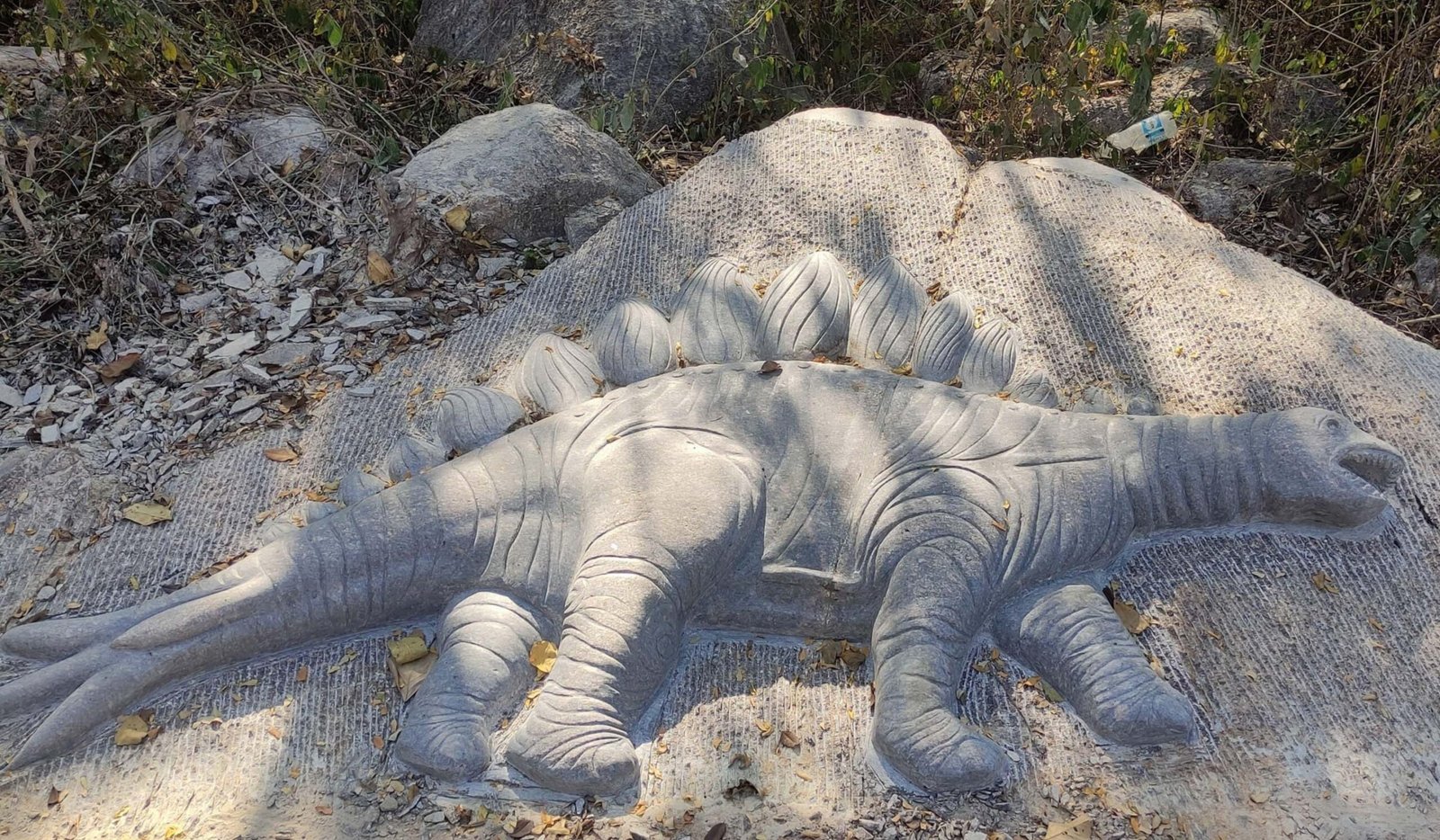 PARK;छत्तीसगढ़ के पहले जुरासिक रॉक गार्डन का शुभारंभ, मनेंद्रगढ़ में बना है देश का सबसे अनूठा फॉसिल पार्क