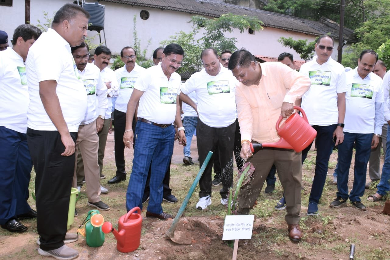 PLANTATION; गुढ़ियारी कैंपस को हरा भरा बनाने पॉवर कंपनी ने लगाए पौधे,आग लगने गायब हो गई थी हरियाली