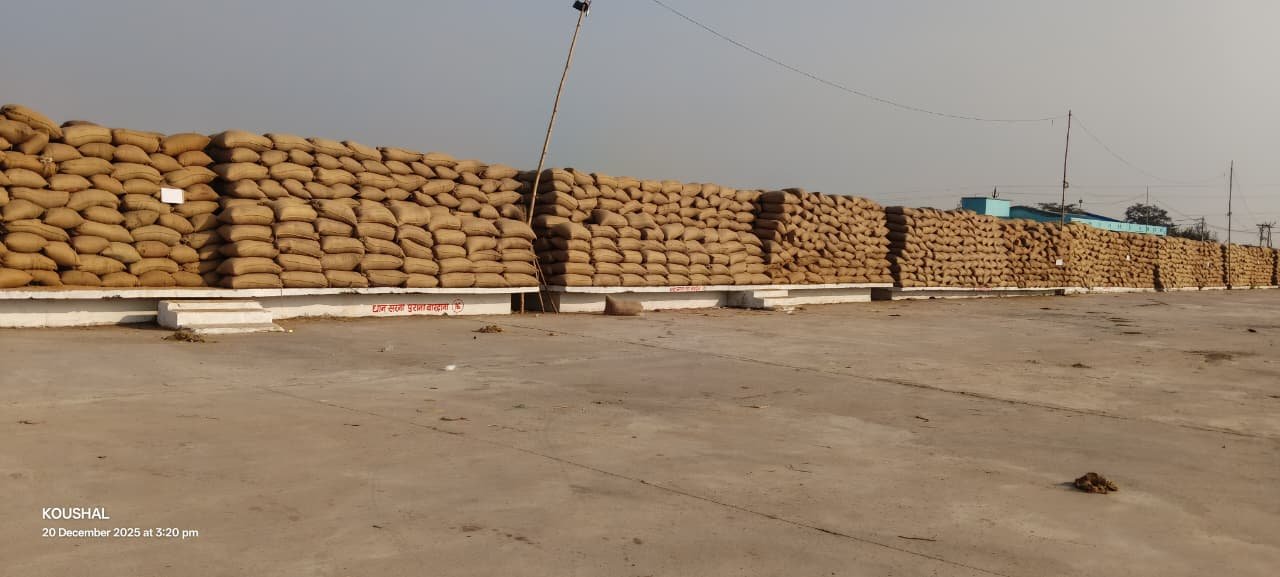 PADDY; समिति में धान की बोरियों में पानी डाल रहे कर्मचारी, वीडियो वायरल होने से मचा हड़कंप