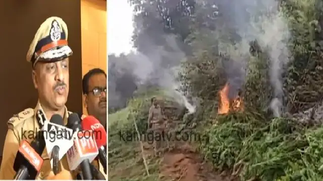 POLICE; उडीसा के नक्सल प्रभावित इलाके में 48,160 एकड़ में उगाई गई गांजा-भांग की खेती नष्ट, 654 अंतरराज्यीय ड्रग तस्कर गिरफ्तार