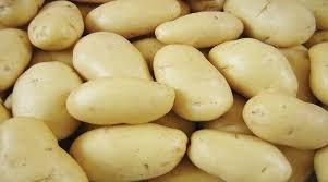 POTATO; आलू के दामों ने तोड़ा 20 साल का रिकॉर्ड, थोक में 7 रुपए किलो, किसानों को भारी नुकसान