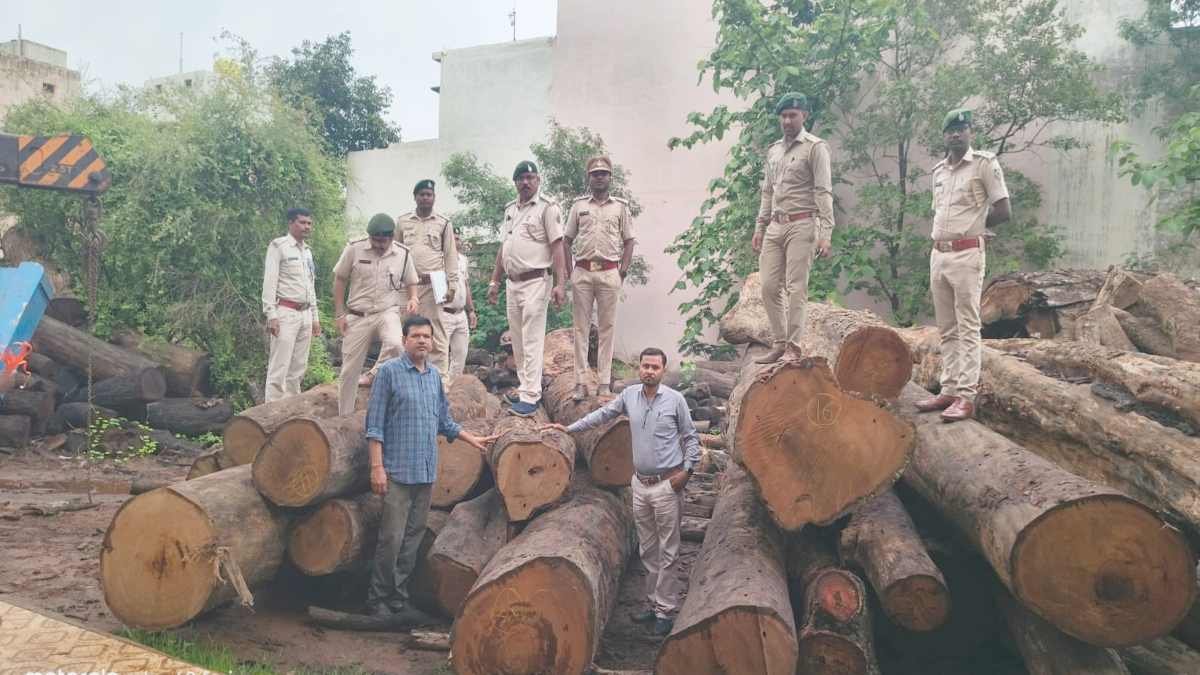 FOREST; कोरबा के जंगल में कटाई, साल के 206 पेड़ों की लकड़ी अभनपुर में बरामद, आरा मिल सील, आरोपी गिरफ्तार