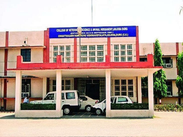 CONTROVERSY;मंत्री के आदेश बेअसर? कामधेनु विश्वविद्यालय में जांच से पहले भर्ती की तैयारी, राज्यपाल तक पहुंची शिकायत